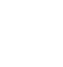 iie design